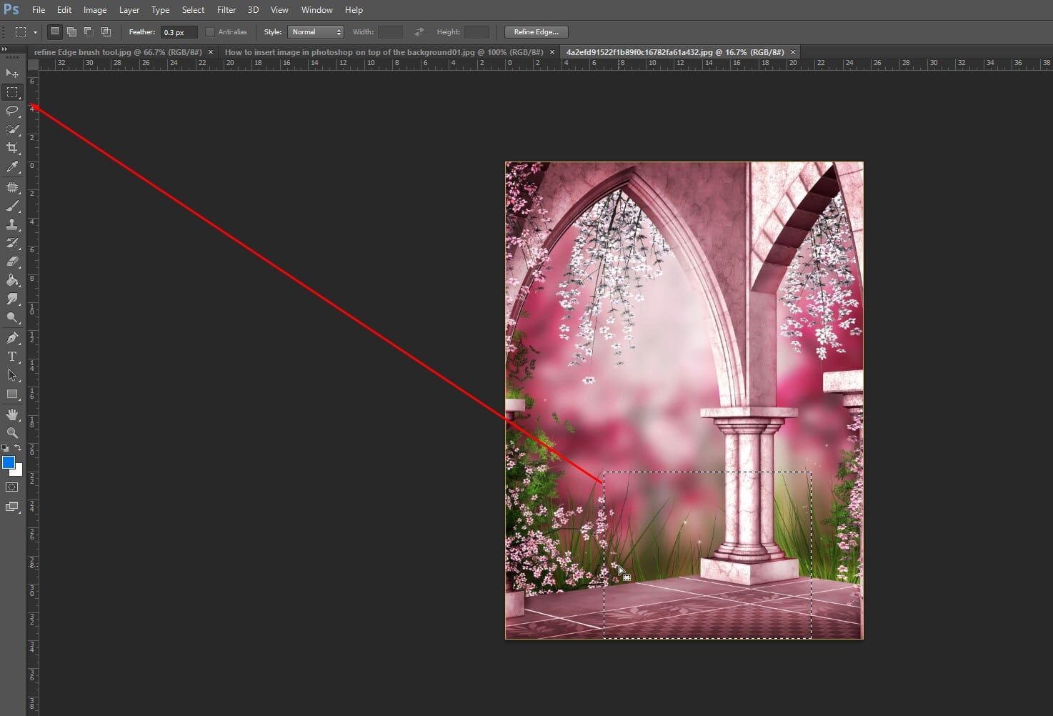 how-to-put-a-picture-on-a-background-in-photoshop